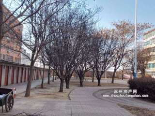 ʮ˾ֳС